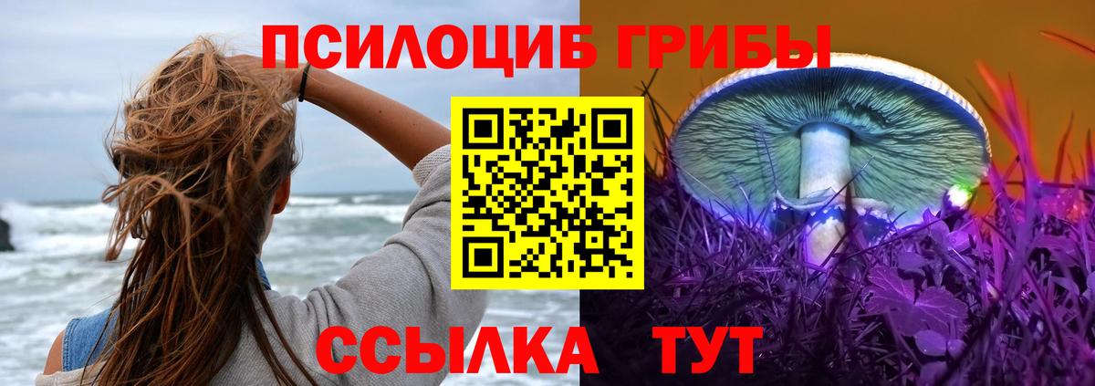 Галлюциногенные грибы прущие грибы Полевской