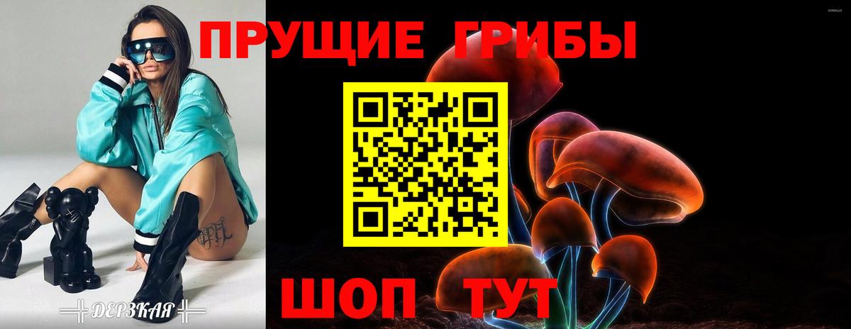 Галлюциногенные грибы MAGIC MUSHROOMS  Вход с VPN  Полевской 
